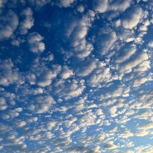 Meet your Posher, Leena